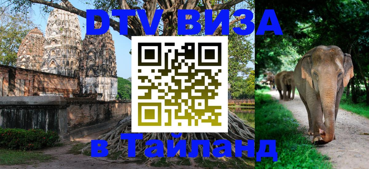 DTV Visa Тайланд купить 